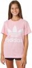 Adidas Originals t-shirt Trefoil Tee DV2909 Adidas Originals t-shirt Trefoil Tee DV2909